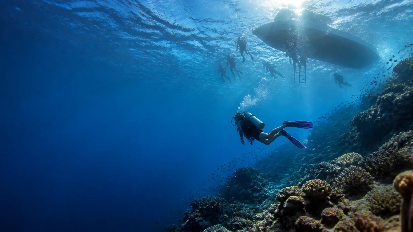 U-Dive diving journey